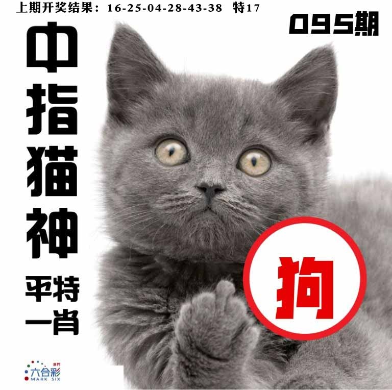 095期中指猫神[图]