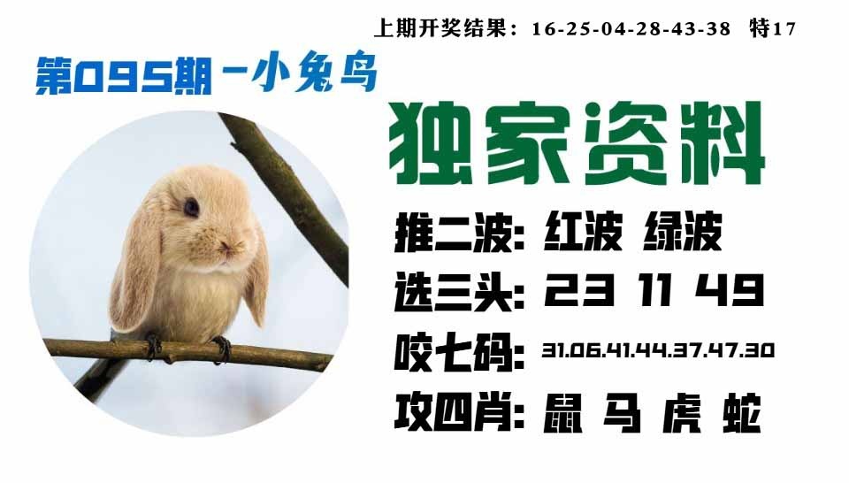 095期小兔鸟[图]